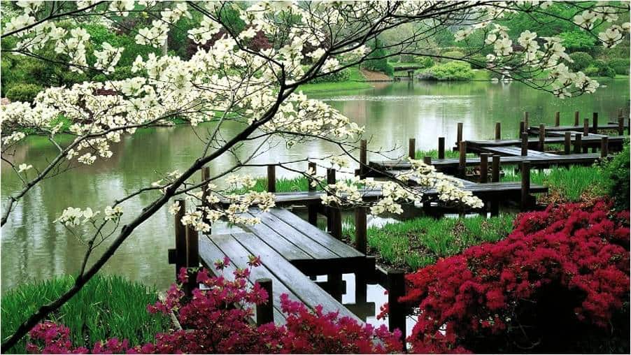 Serenity