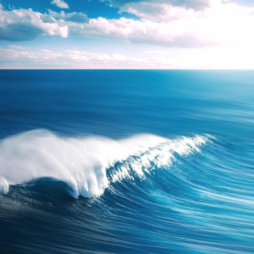 Bleu